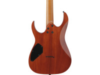 Ibanez GRGR221FA-TDK Ibanez GRGR221FA-TDK